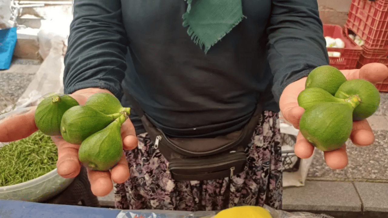Foto - Filmlere bile konu oldu! Dünyanın en iyileri bu ilimizde! 