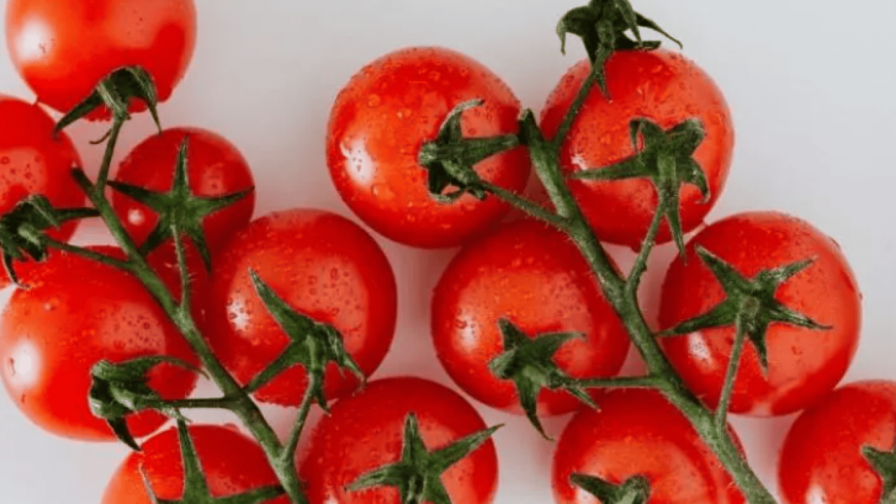 Dünyanın en iyilerini seçtiler! Türkiye listeye damga vurdu!