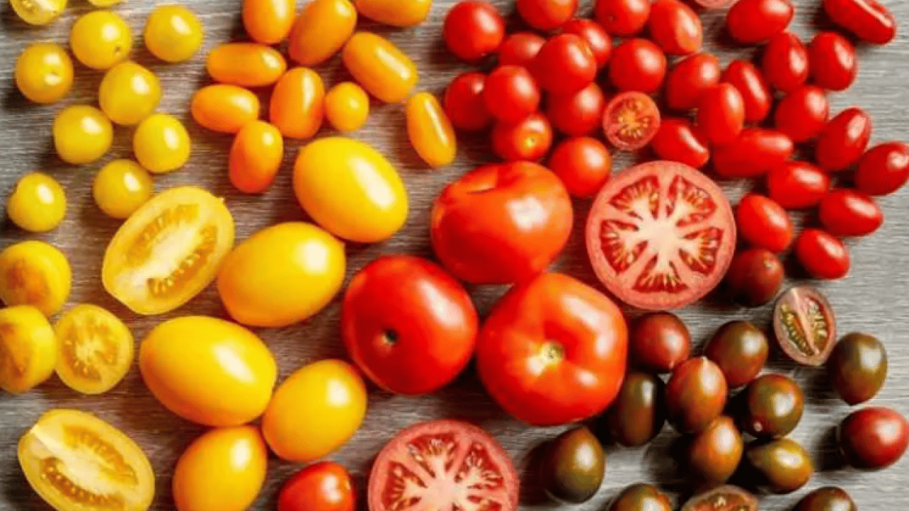 Foto - Dünyanın en iyilerini seçtiler! Türkiye listeye damga vurdu!