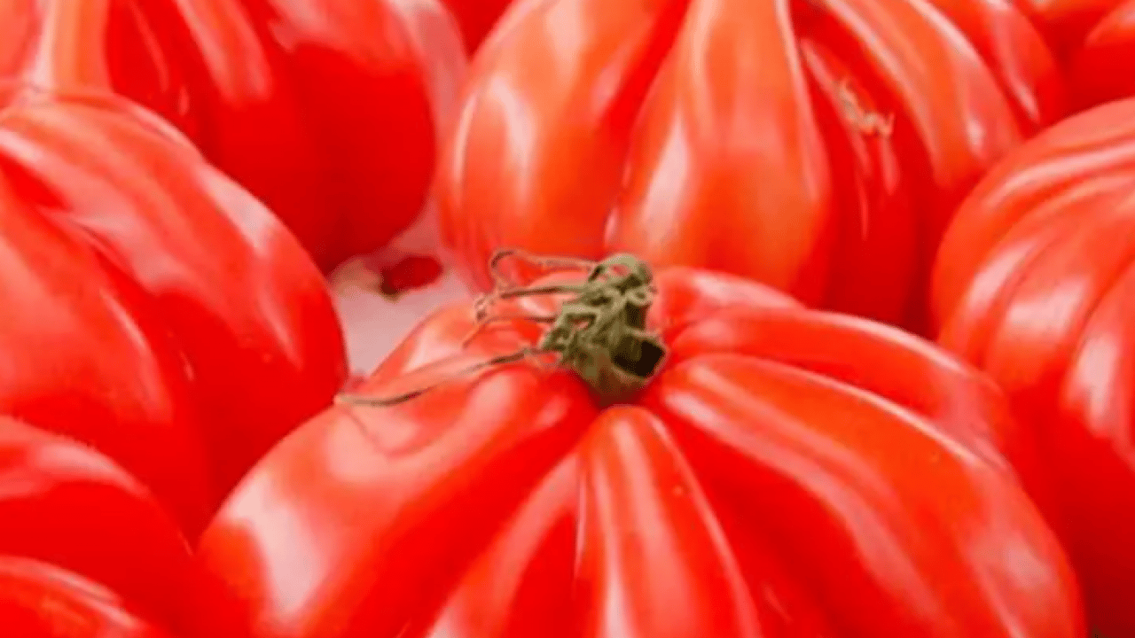 Foto - Dünyanın en iyilerini seçtiler! Türkiye listeye damga vurdu!