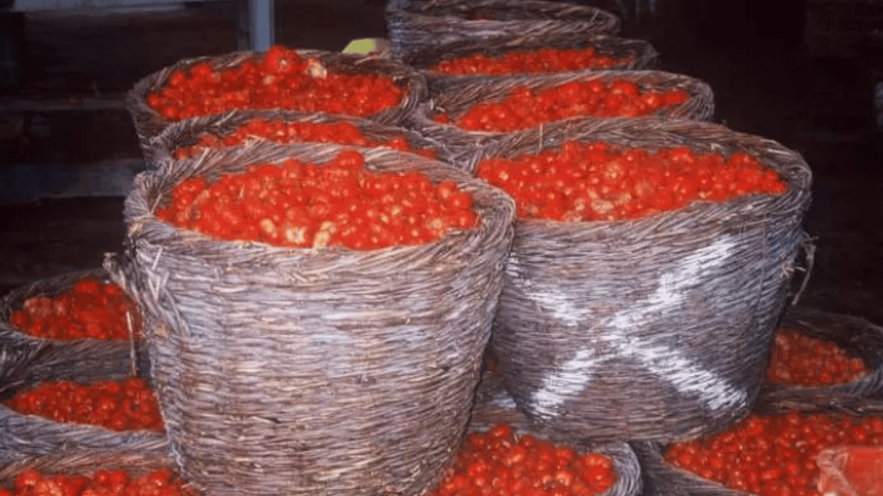Foto - Dünyanın en iyilerini seçtiler! Türkiye listeye damga vurdu!