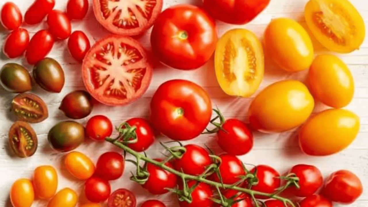 Foto - Dünyanın en iyilerini seçtiler! Türkiye listeye damga vurdu!