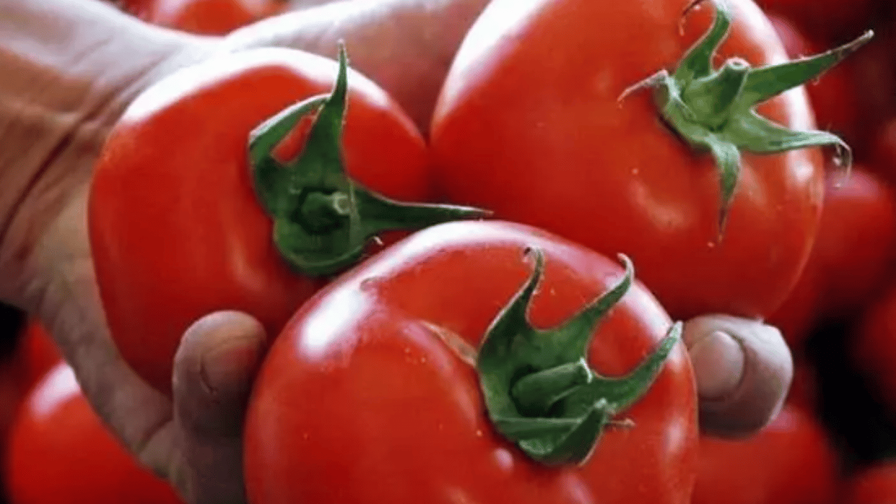 Foto - Dünyanın en iyilerini seçtiler! Türkiye listeye damga vurdu!