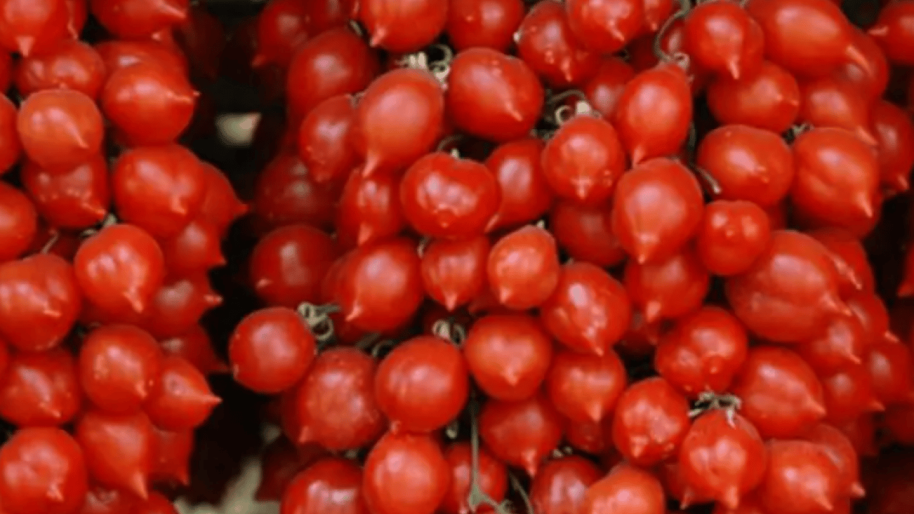 Foto - Dünyanın en iyilerini seçtiler! Türkiye listeye damga vurdu!