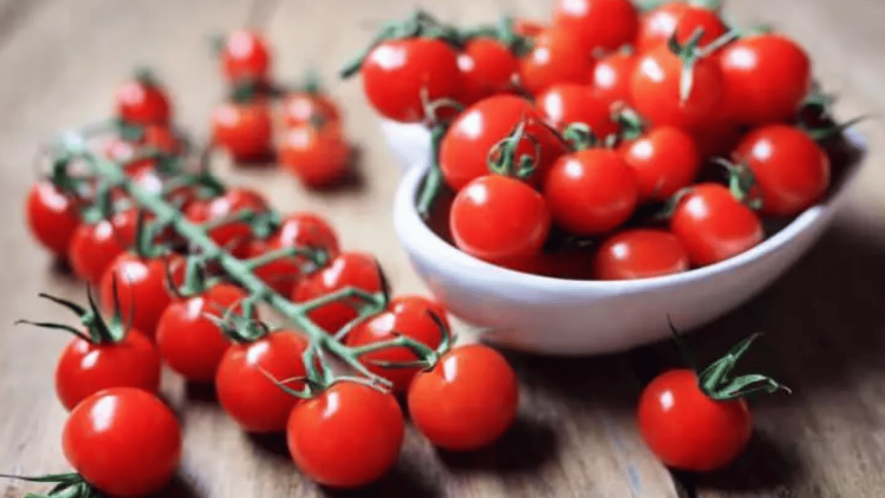 Foto - Dünyanın en iyilerini seçtiler! Türkiye listeye damga vurdu!