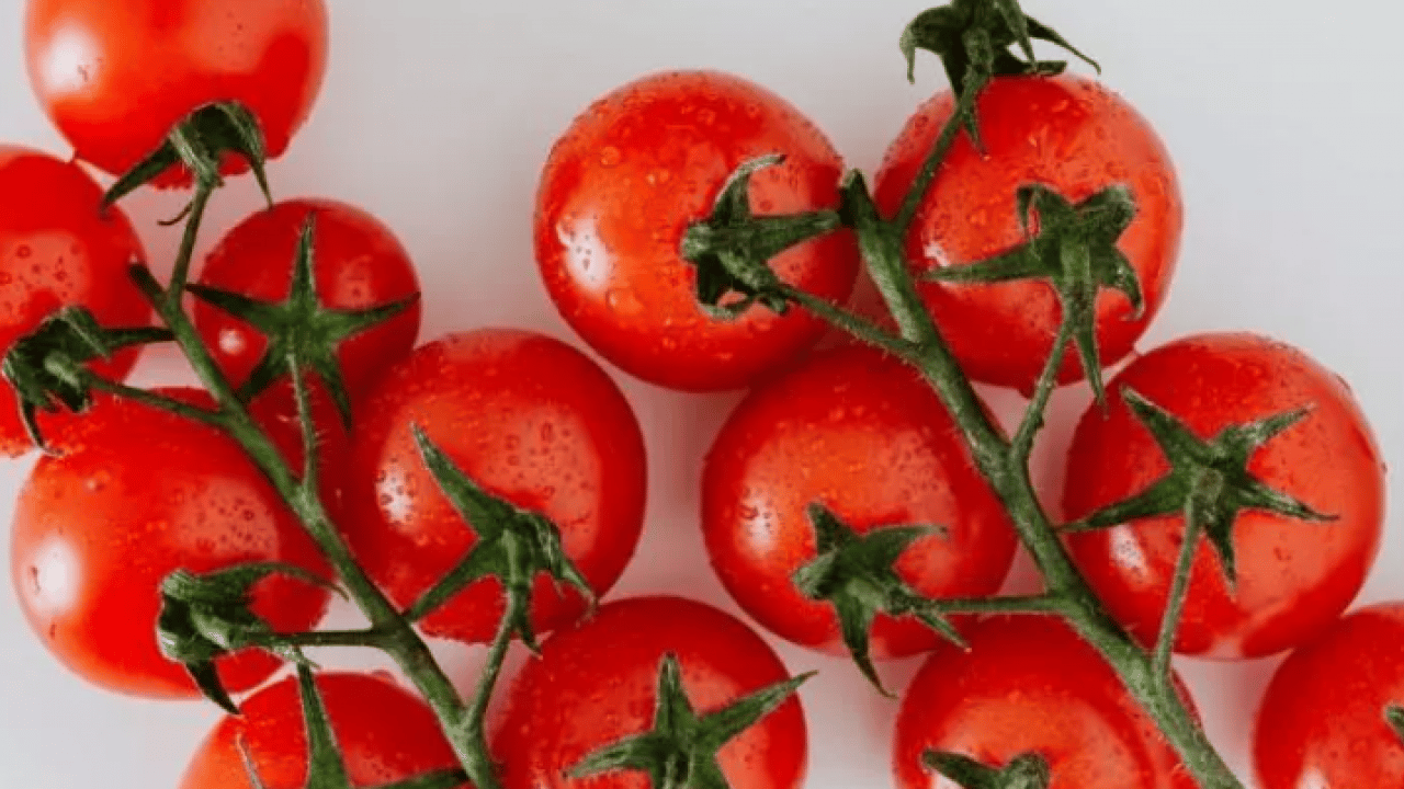 Foto - Dünyanın en iyilerini seçtiler! Türkiye listeye damga vurdu!