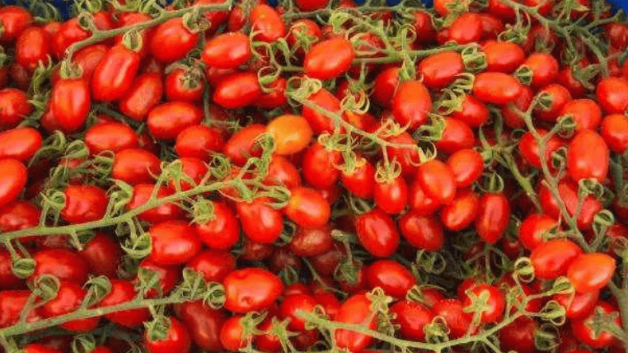 Foto - Dünyanın en iyilerini seçtiler! Türkiye listeye damga vurdu!