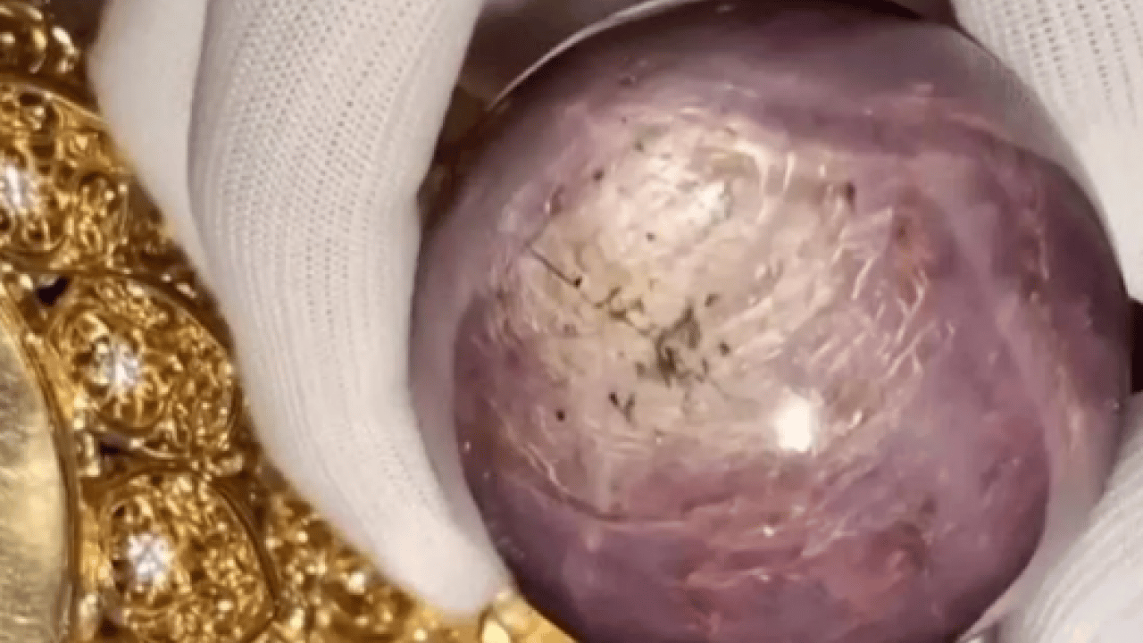 Foto - Dünyanın en nadiri tesadüfen bulundu: Bir avuç kadarı 300 milyon dolar!