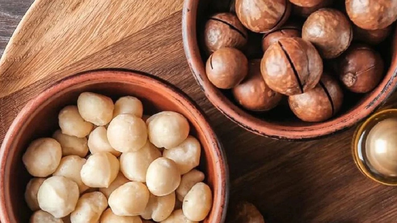 Foto - Dünyanın en pahalı kuruyemişi artık Türkiye'de üretiliyor! 3 şehirde başladı 