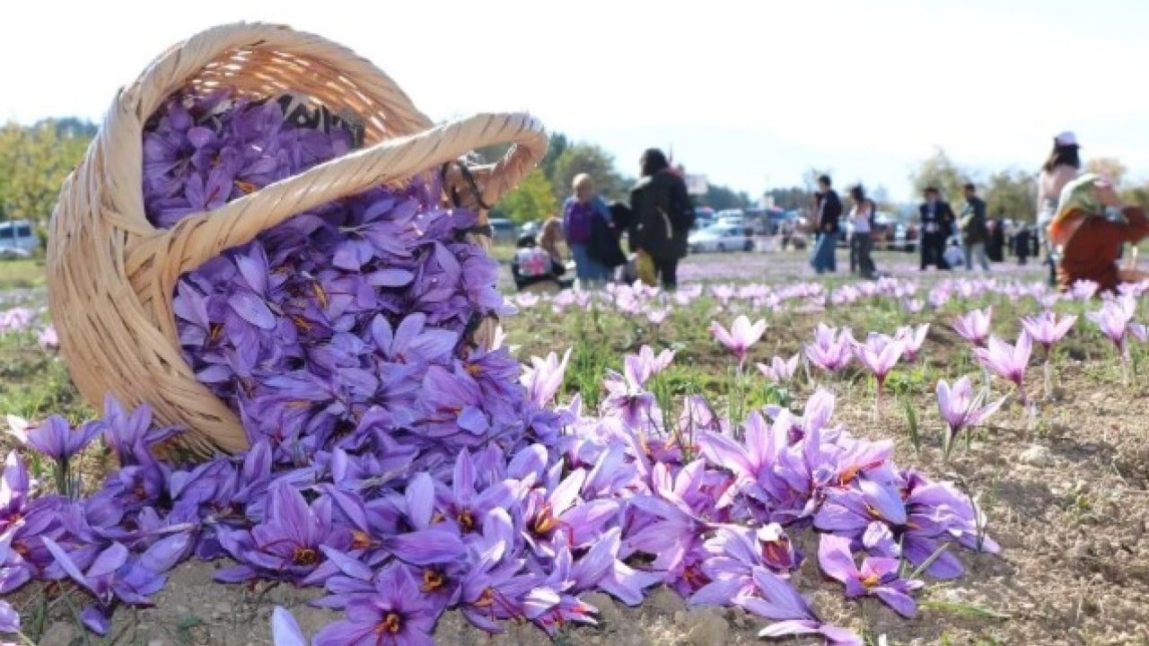Foto - Dünyanın en pahalısı Türkiye'de: Kilogramı 600 bin TL!