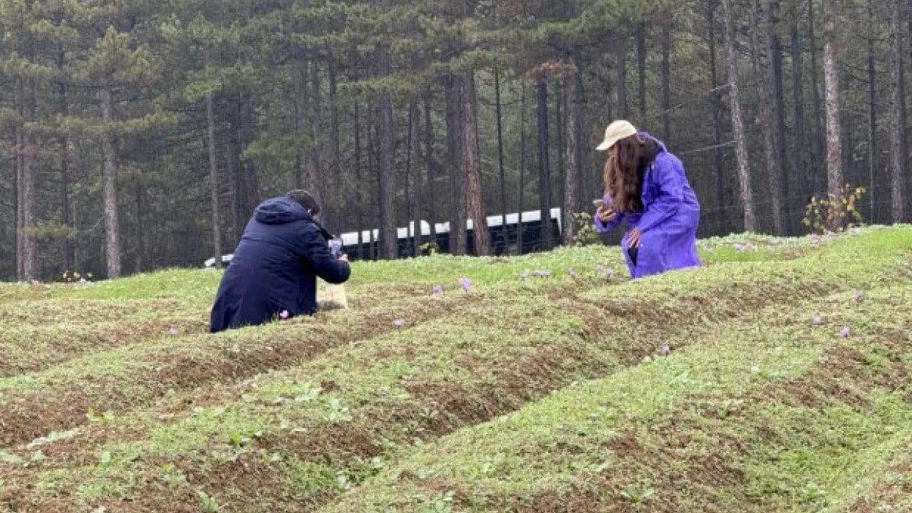 Foto - Dünyanın en pahalısı Türkiye'de: Kilogramı 600 bin TL!