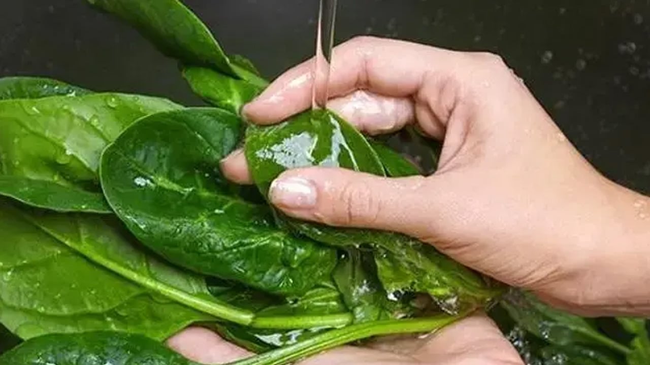 Dünyanın en sağlıklı sebzesi seçildi: Her gün tüketince vücudu bambaşka yapıyor... Bakın ne yaptı