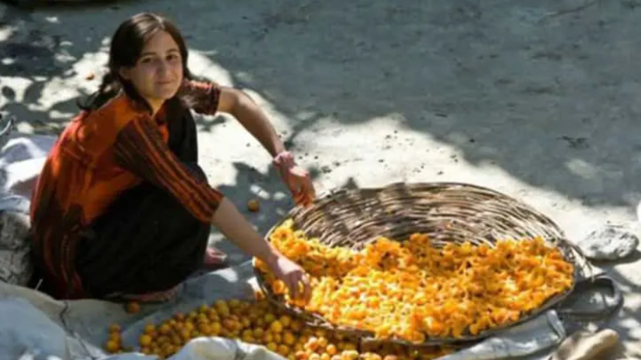 Foto - Dünyanın en sağlıklı topluluklarından: Hunza Türklerinin uzun yaşam sırrı ortaya çıktı!
