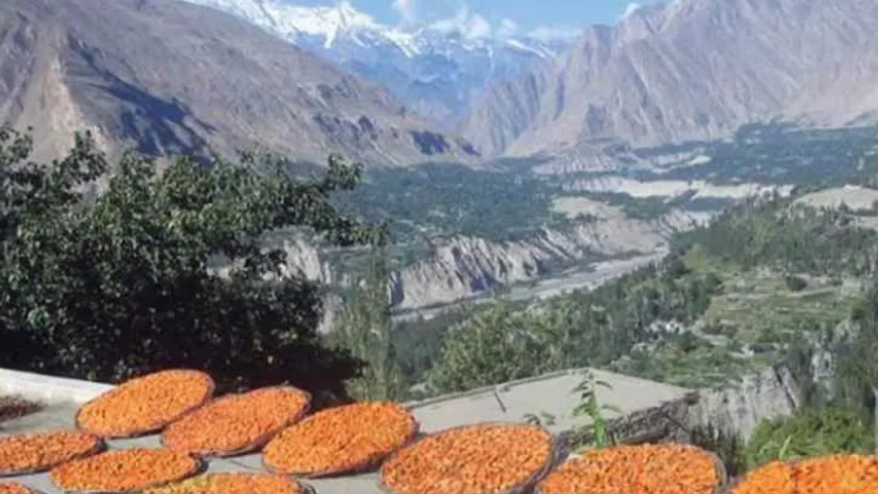 Foto - Dünyanın en sağlıklı topluluklarından: Hunza Türklerinin uzun yaşam sırrı ortaya çıktı!