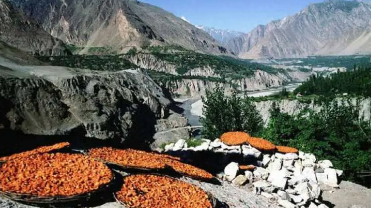 Foto - Dünyanın en sağlıklı topluluklarından: Hunza Türklerinin uzun yaşam sırrı ortaya çıktı!