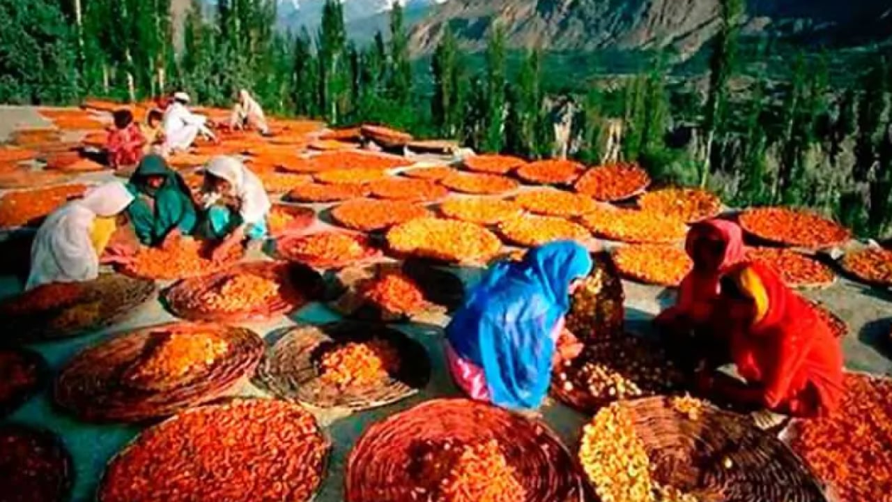 Foto - Dünyanın en sağlıklı topluluklarından: Hunza Türklerinin uzun yaşam sırrı ortaya çıktı!