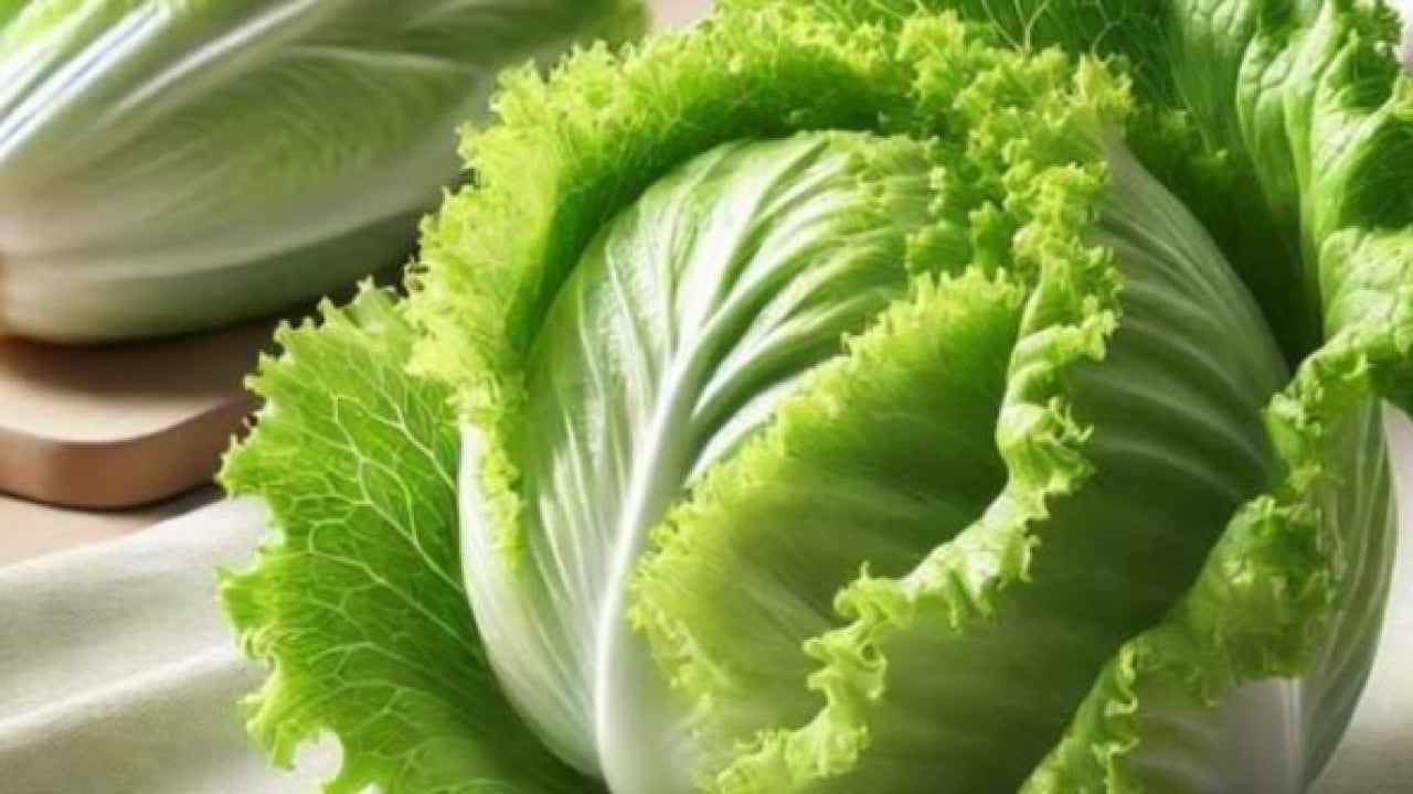 Foto - Dünyanın en sağlıklı yeşilliği belli oldu