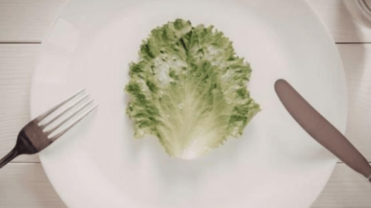 Foto - Dünyanın en sağlıklı yeşilliği belli oldu