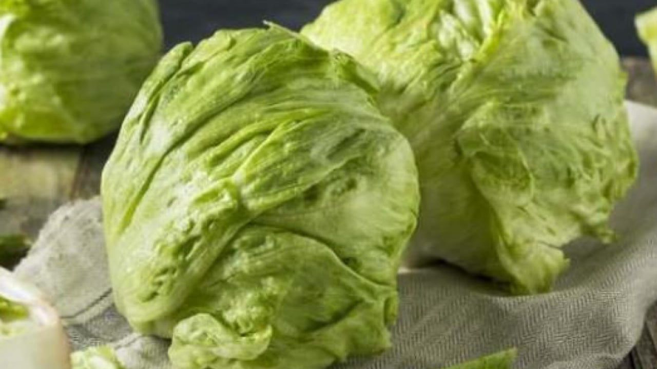 Foto - Dünyanın en sağlıklı yeşilliği belli oldu