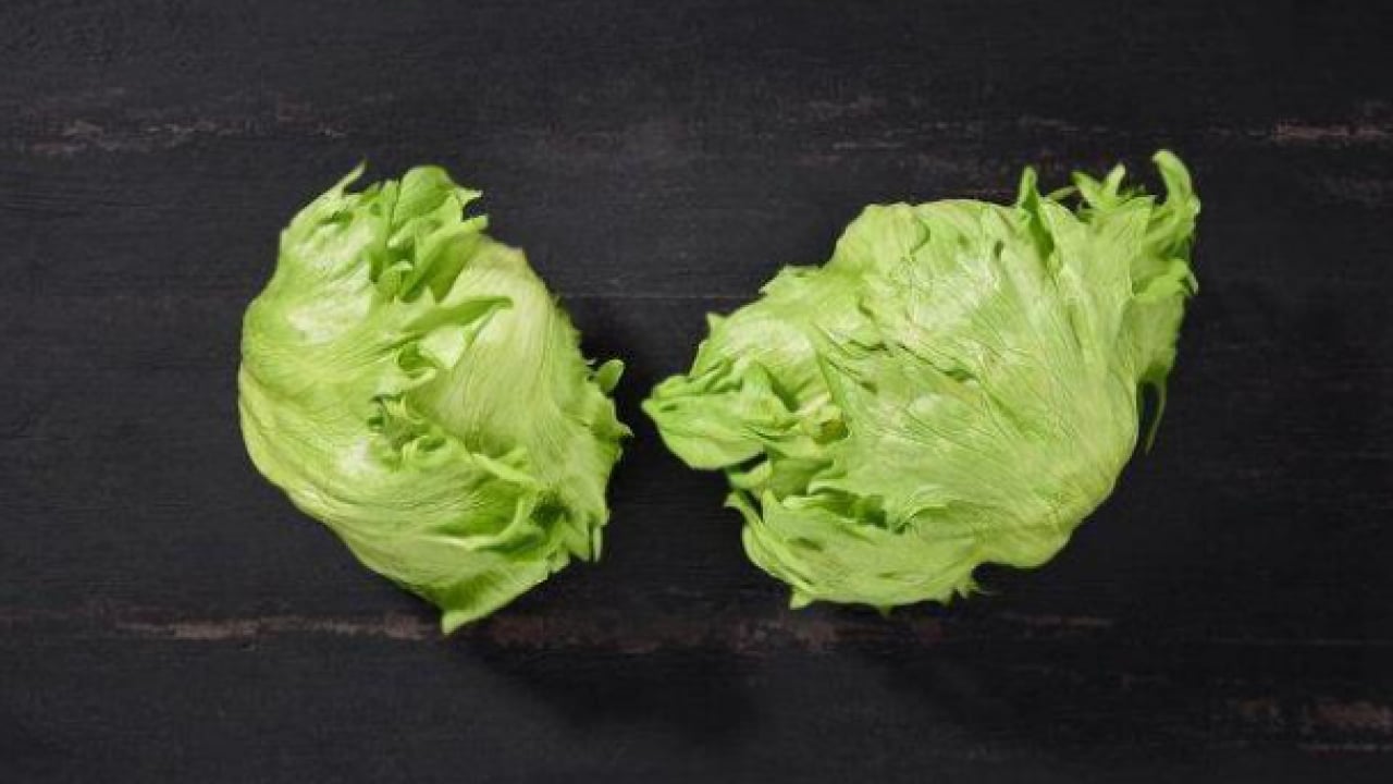 Foto - Dünyanın en sağlıklı yeşilliği belli oldu