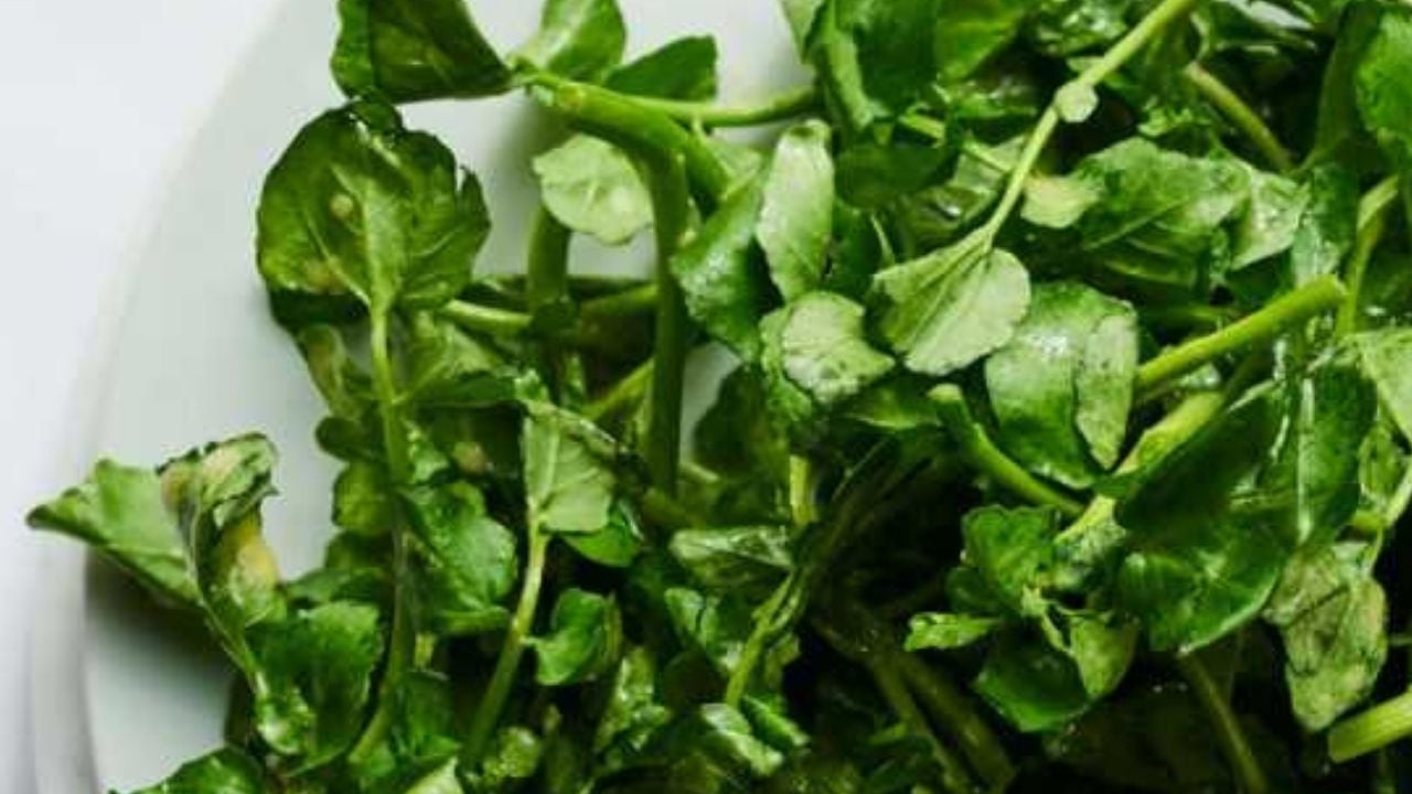 Foto - Dünyanın en sağlıklı yeşilliği: Su teresi nedir, nasıl tüketilir? Uzmanından çarpıcı öneri! 