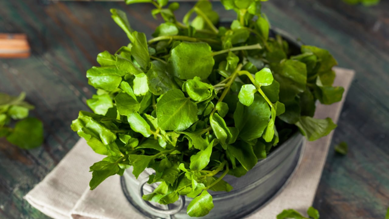 Foto - Dünyanın en sağlıklı yeşilliği: Su teresi nedir, nasıl tüketilir? Uzmanından çarpıcı öneri! 