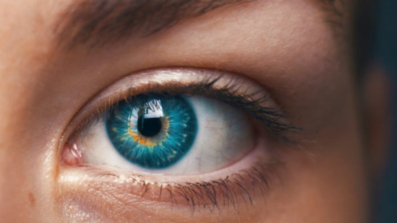 Foto - Dünyanın en zeki ülkeleri belli oldu! Asya ülkeleri listeyi domine etti!