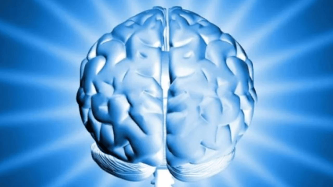 Dünyanın en zeki ülkeleri belli oldu! Asya ülkeleri listeyi domine etti!