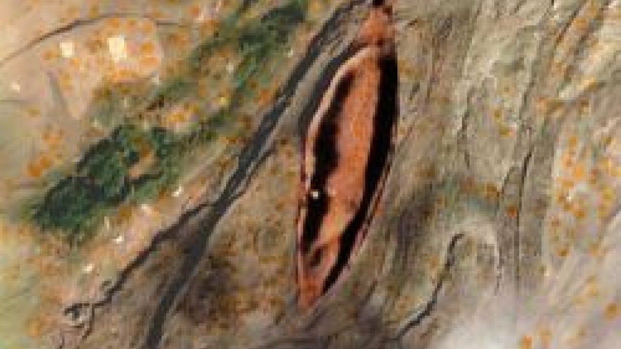 Foto - Ağrı'daki keşif dünyayı ayağa kaldırdı: 'Benzeri yok, İncil'le örtüşüyor' 