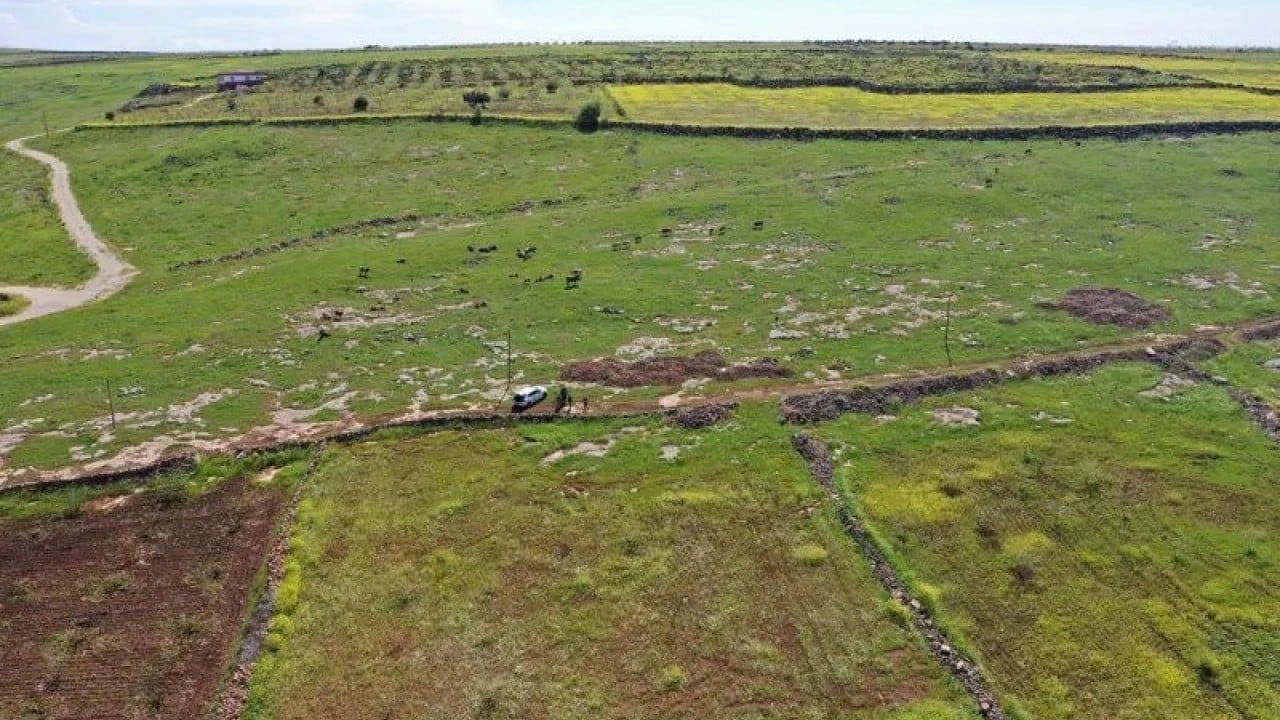 Foto - Dünyanın gözü Şanlıurfa'ya çevrildi: Çinliler ve Japonlar kazıya geliyor
