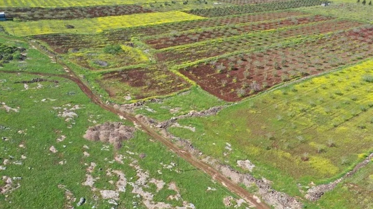 Foto - Dünyanın gözü Şanlıurfa'ya çevrildi: Çinliler ve Japonlar kazıya geliyor