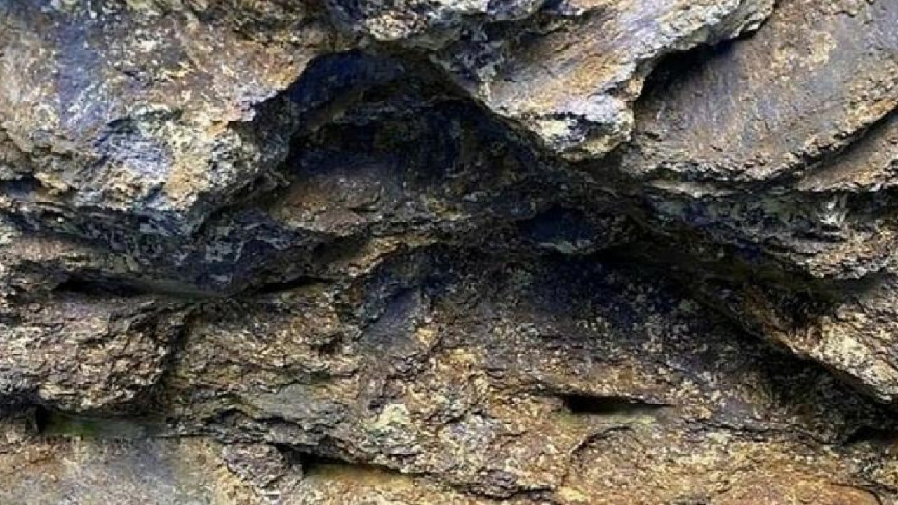 Foto - Dünyanın gözü Türkiye'deydi! Dev rezervleri Rusya'ya teklif ettiler 