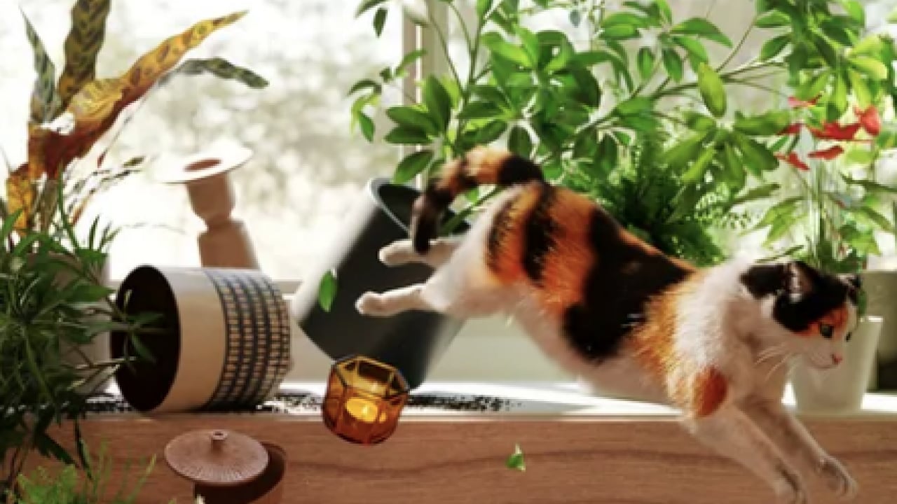 Foto - Dünyaya ders niteliğinde bir karar: 10 yıl hapisle yargılanacak: 9 kedi için 14 milyon lira ceza