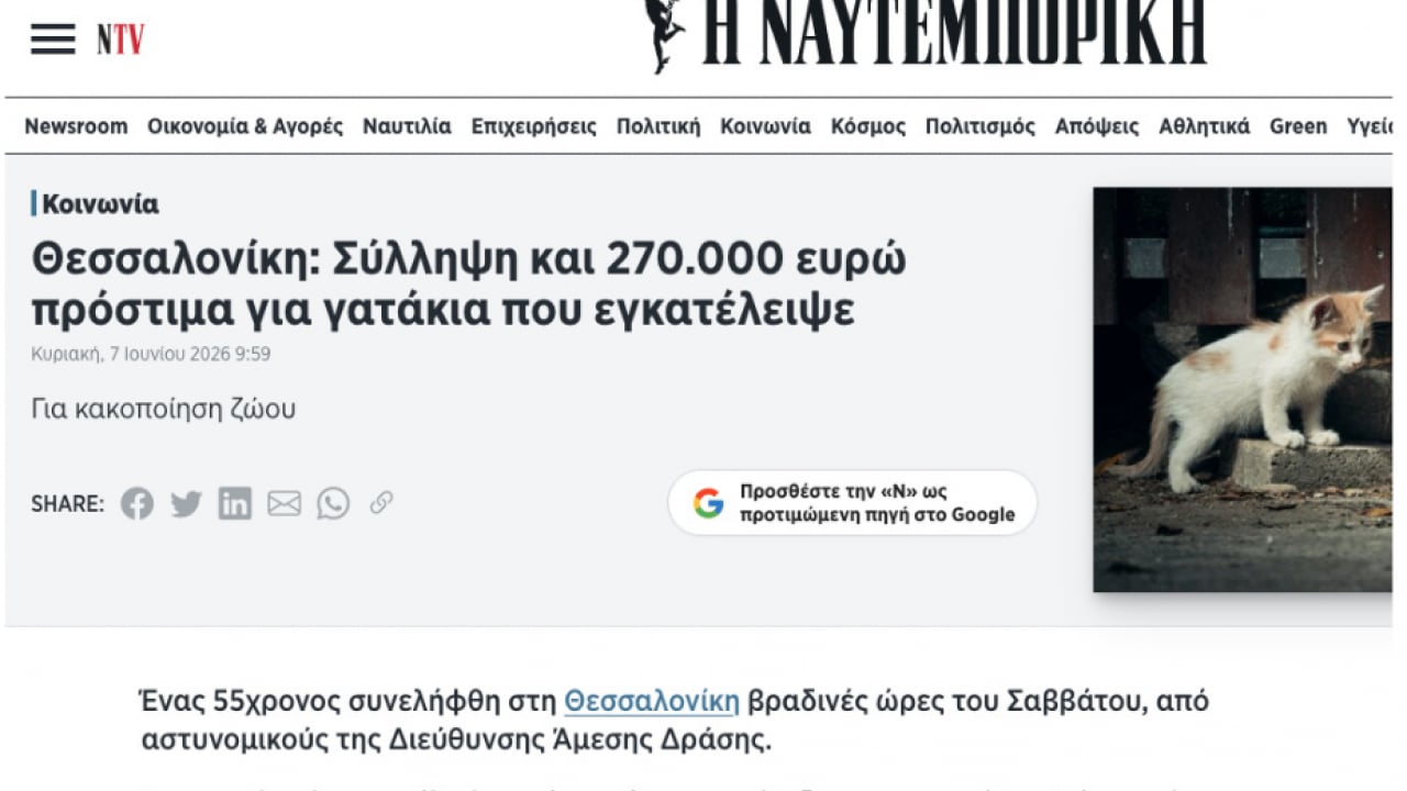 Dünyaya ders niteliğinde bir karar: 10 yıl hapisle yargılanacak: 9 kedi için 14 milyon lira ceza
