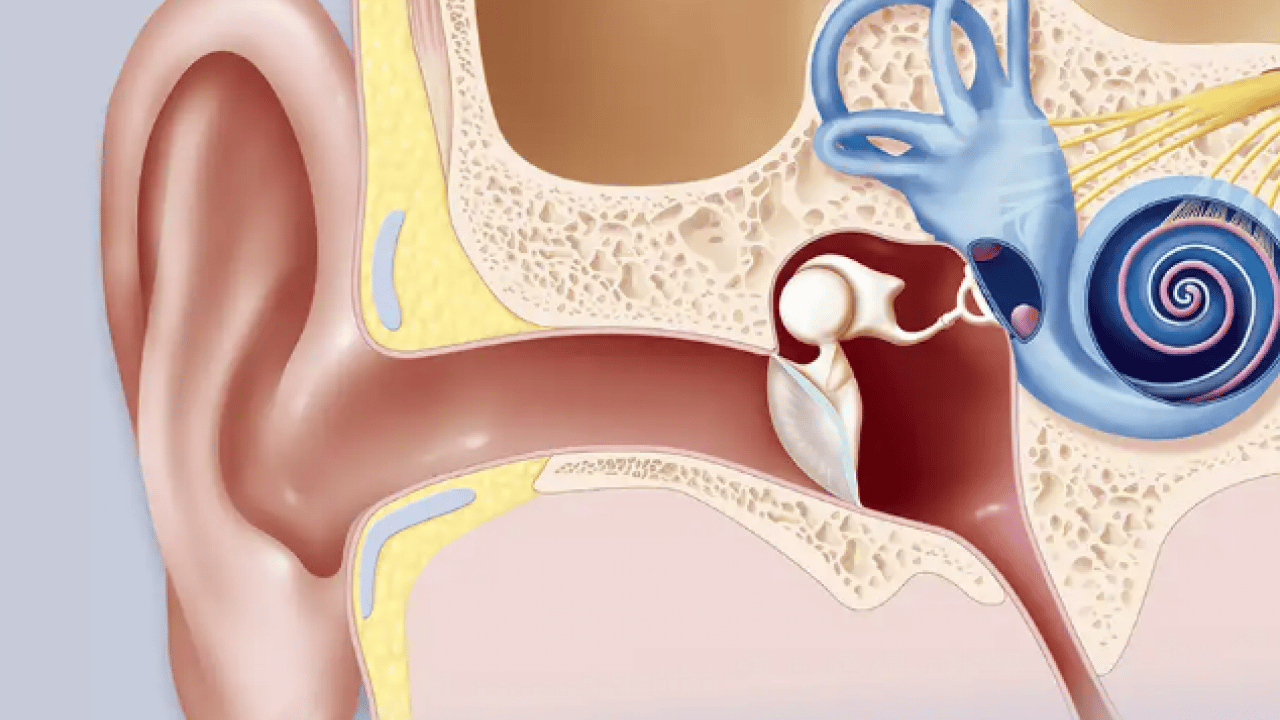 Foto - Durum ciddi kayba yol açabilir: Seröz Otit, çocukların biyo-psiko-sosyal gelişimini engelleyebilir