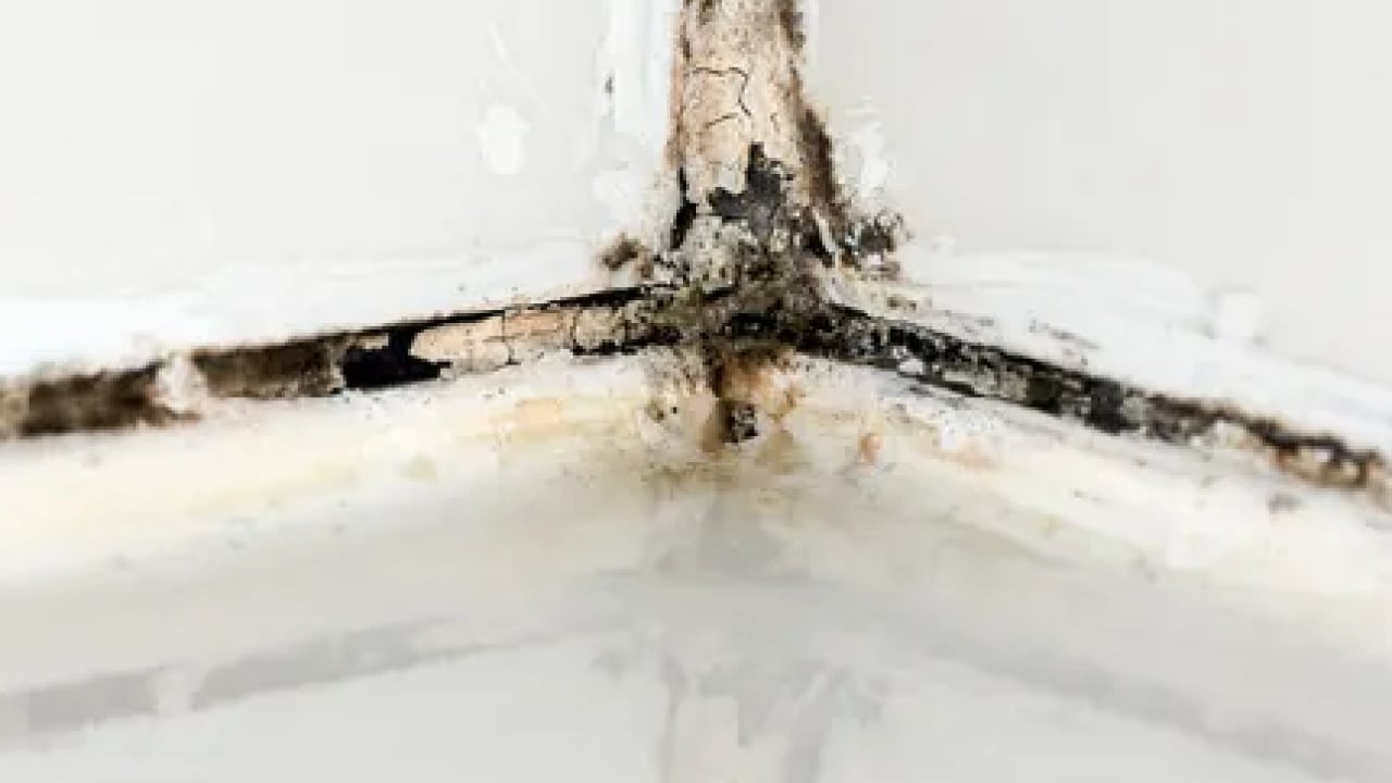 Foto - Duş kabinindeki kireç lekeleriyle vedalaşın! Pırıl pırıl duş kabini için 5 dakikada şipşak çözüm...