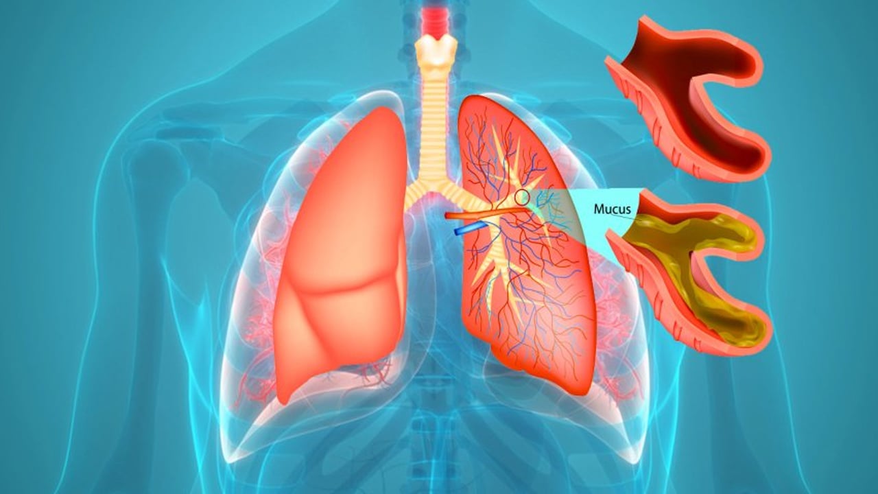 Foto - Dut yaprağı! İbrahim Saraçoğlu öve öve bitiremedi! Favorisi: Kan şekerini terazi gibi dengeliyor! Tam bir şifa
