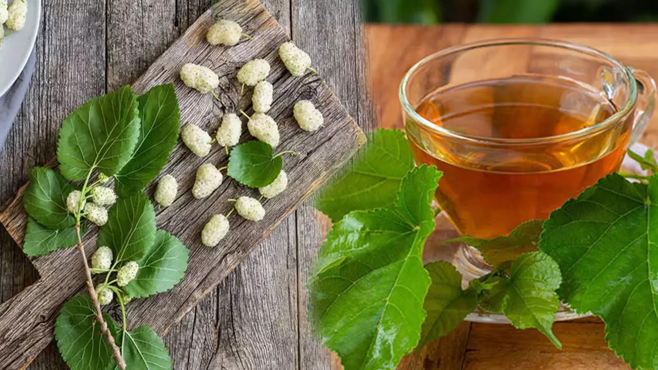 Foto - Dut yaprağı! İbrahim Saraçoğlu öve öve bitiremedi! Favorisi: Kan şekerini terazi gibi dengeliyor! Tam bir şifa