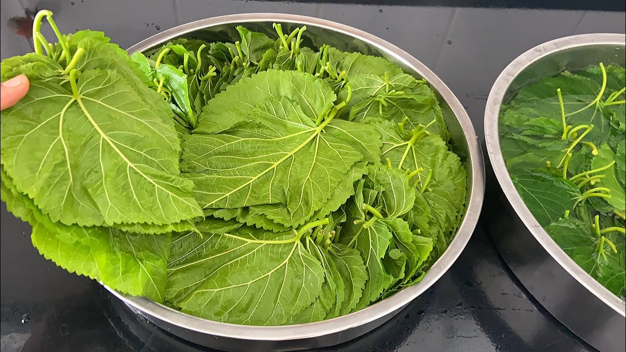 Foto - Dut yaprağı! İbrahim Saraçoğlu öve öve bitiremedi! Favorisi: Kan şekerini terazi gibi dengeliyor! Tam bir şifa