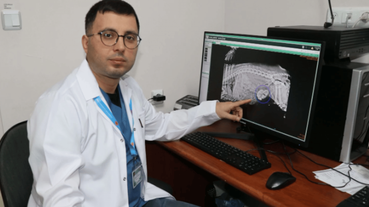 Foto - Duyanlar şaşkına döndü! ‘Tarçın'ın karnından çıkan taş sayısı şoke etti