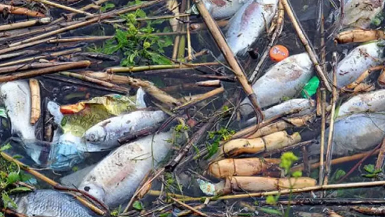 Foto - Duyduk duymadık demeyin! Çevreyi katledenlere yeni tarife