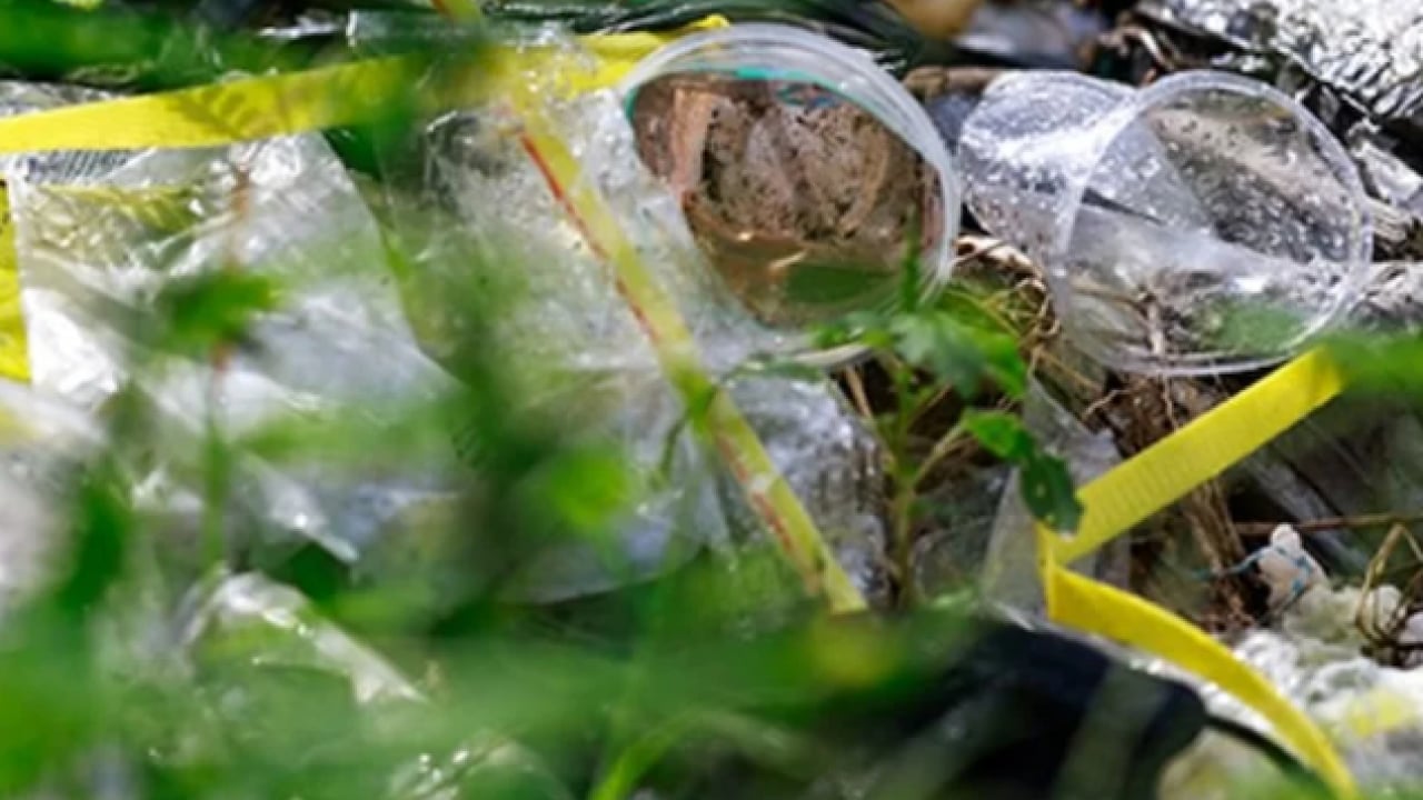 Foto - Duyduk duymadık demeyin! Çevreyi katledenlere yeni tarife