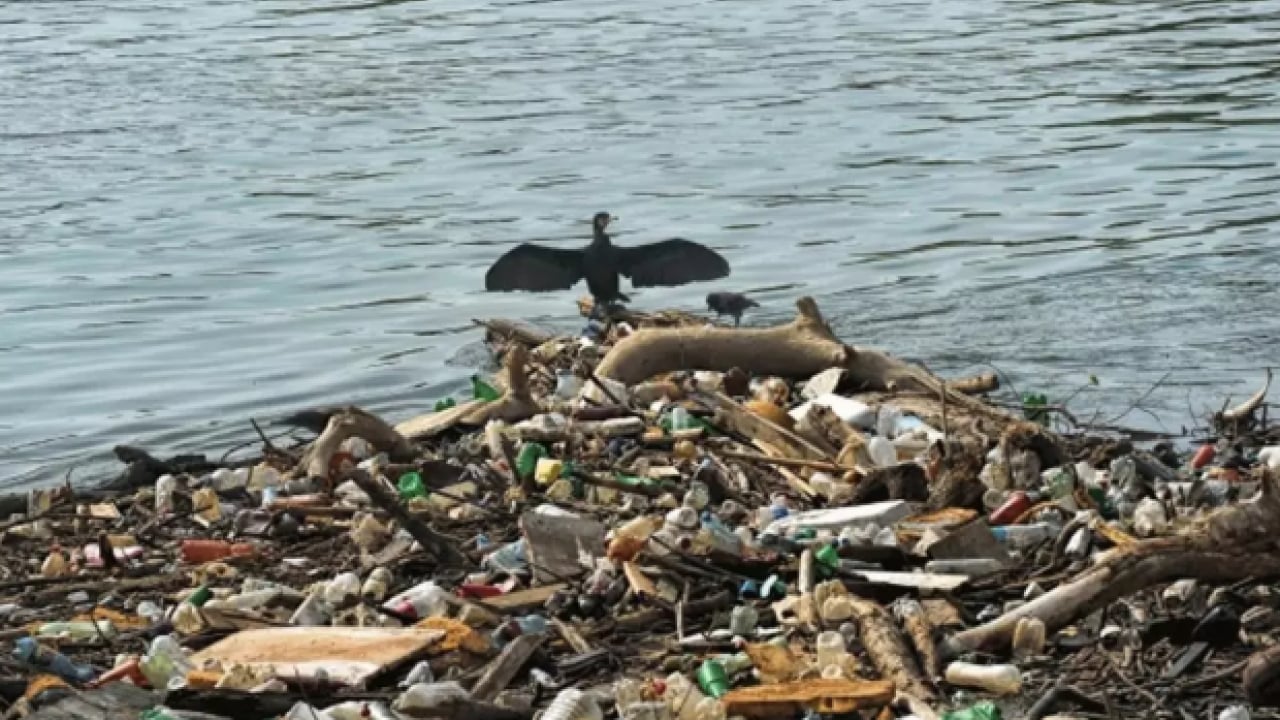 Foto - Duyduk duymadık demeyin! Çevreyi katledenlere yeni tarife