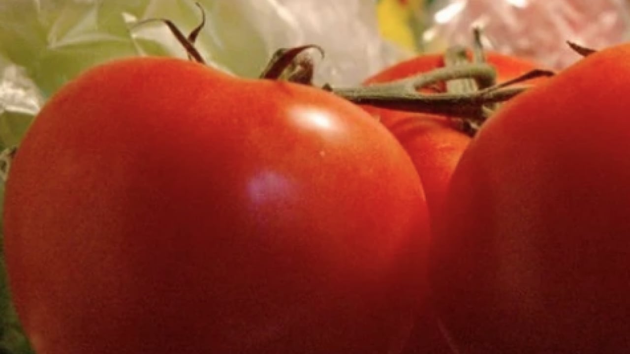 Foto - Duyurdular! Domatesle ilgili bu gelişmeyi kimse beklemiyordu gerçekten... Boşa çürütüyormuşuz