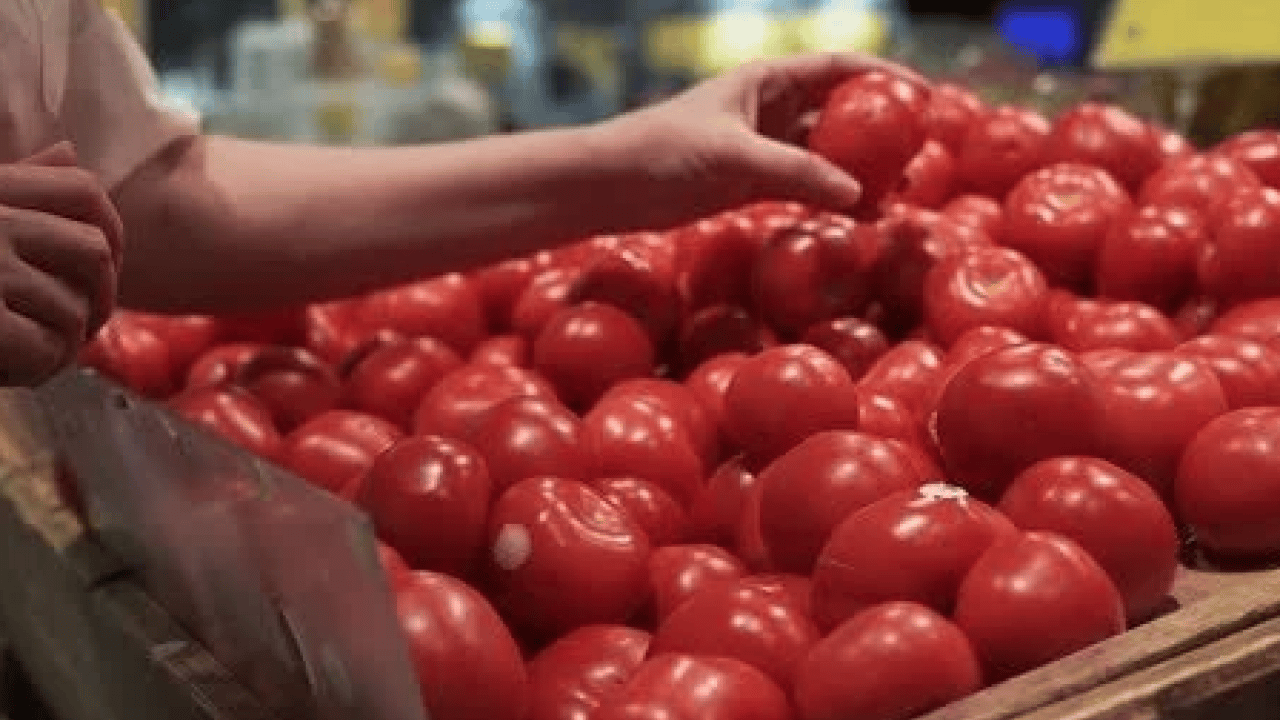 Foto - Duyurdular! Domatesle ilgili bu gelişmeyi kimse beklemiyordu gerçekten... Boşa çürütüyormuşuz