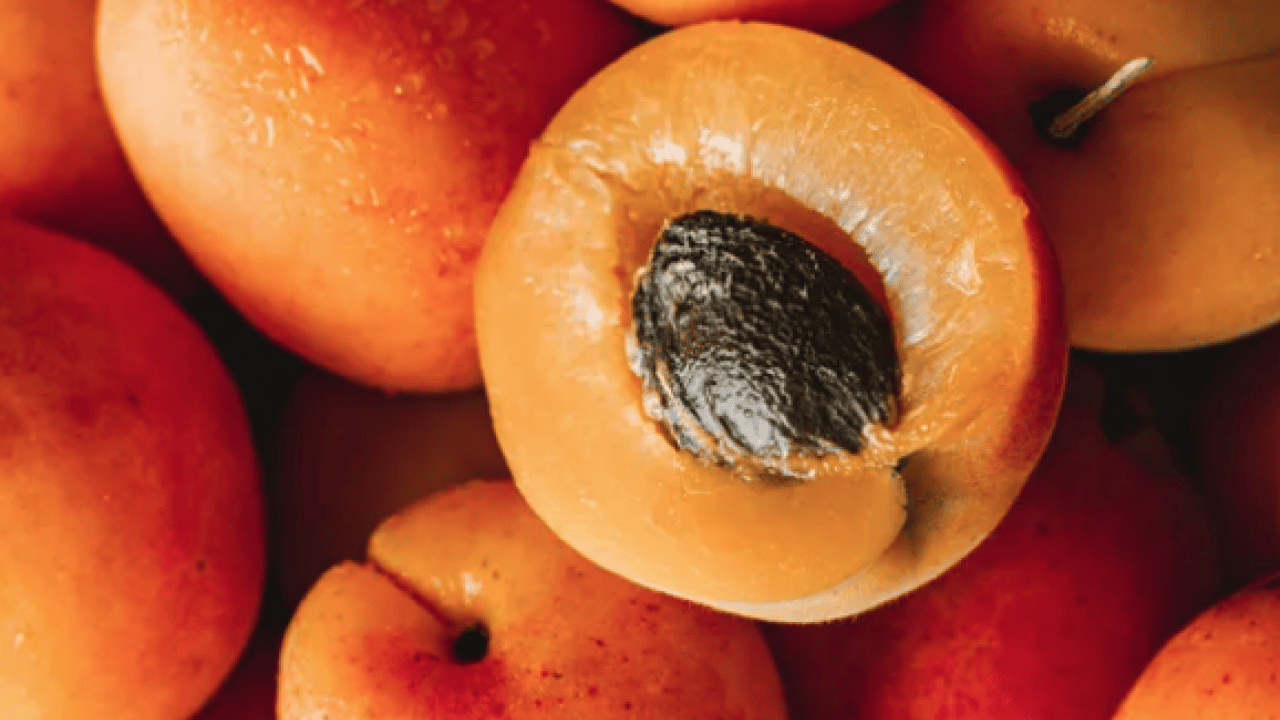 Foto - Duyurdular: Dünyanın en iyi 12 kayısısı belirlendi! Listede Türkiye’den o şehir var