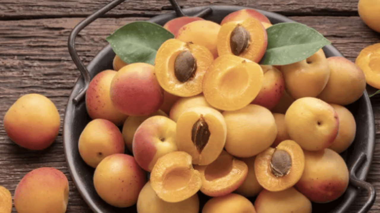 Foto - Duyurdular: Dünyanın en iyi 12 kayısısı belirlendi! Listede Türkiye’den o şehir var