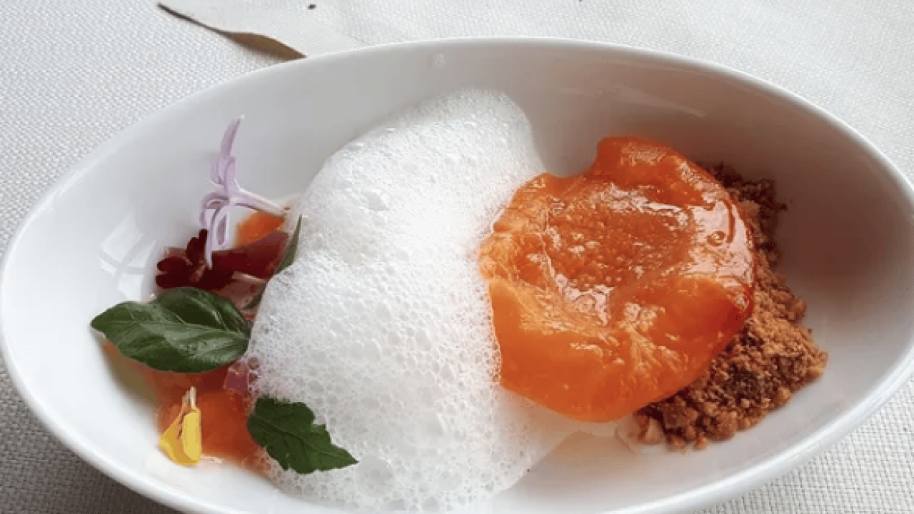 Foto - Duyurdular: Dünyanın en iyi 12 kayısısı belirlendi! Listede Türkiye’den o şehir var