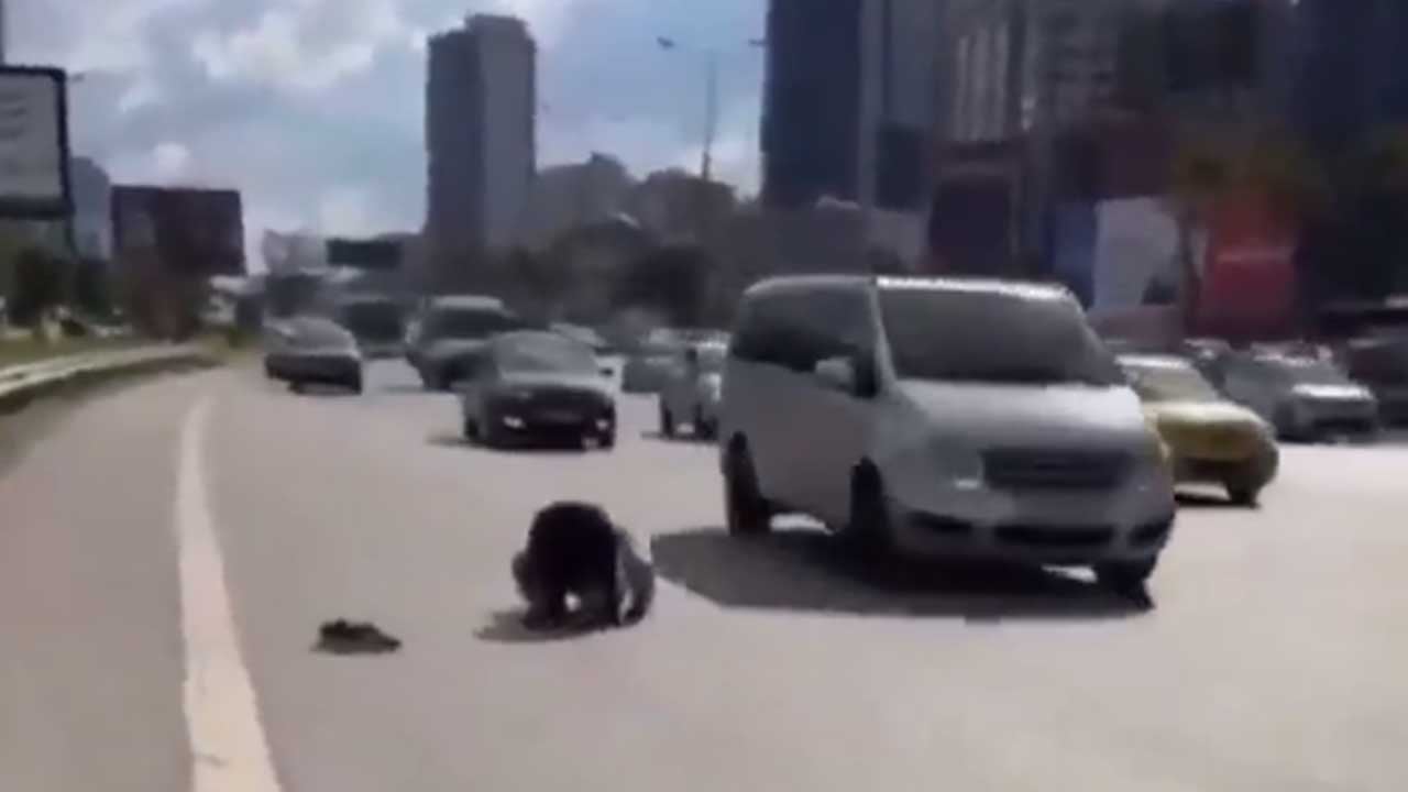 Foto - E-5'te, otoyolda namaz kılanların arkasında kimler var?