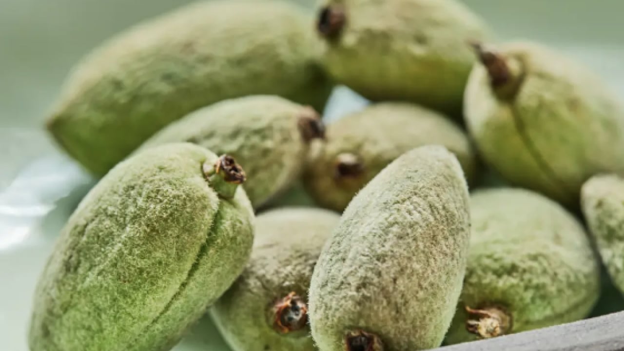 Foto - E Vitamini denilince akla... Çağla yemenin tam zamanı! Çağlanın faydaları neler, çağla neye iyi gelir?